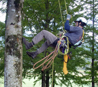 New Tree+ing Clibmer's Kit
